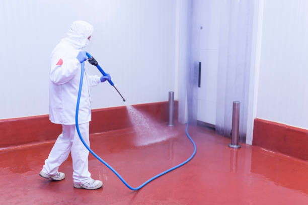 Best Driveway Pressure Washing  in Woodcliff Lake, NJ