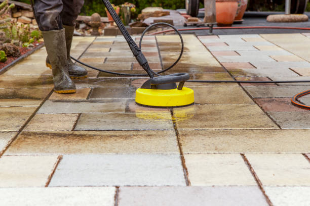 Animal Enclosure Cleaning in Woodcliff Lake, NJ